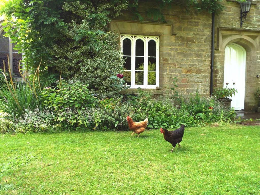 Old Vicarage B&B Coleford  Ngoại thất bức ảnh